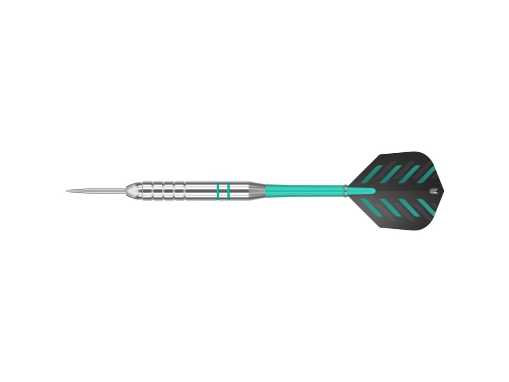 Target steel šipky Rob Cross Silver Voltage 24g