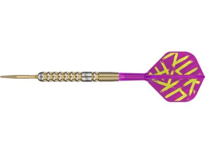 Target steel šipky Swiss Point Luke Littler G1 Prodigy 24g