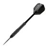 Target steel šipky Power Storm Phil Taylor 22g
