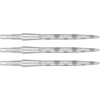 swissonyxstormpointssilvermain 1