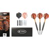 600218 2 target steel sipky raymond van barneveld 22g