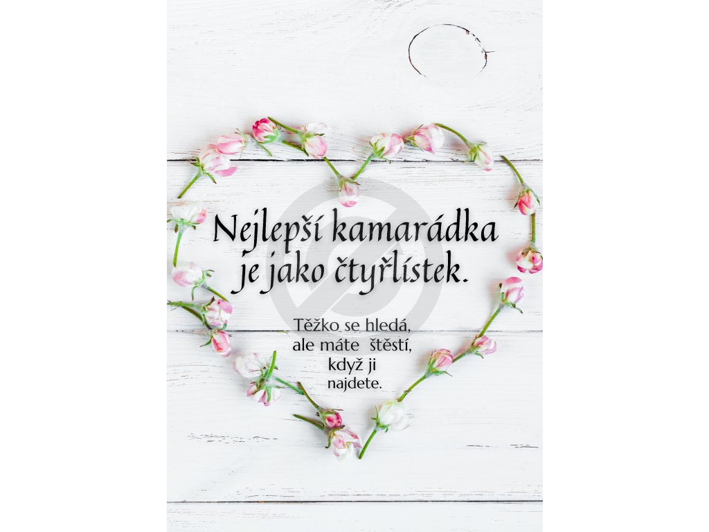 Nejlepší kamarádka je jako čtyřlístek. Těžko se hledá, ale máte štěstí, když ji najdete..jpg7654321567