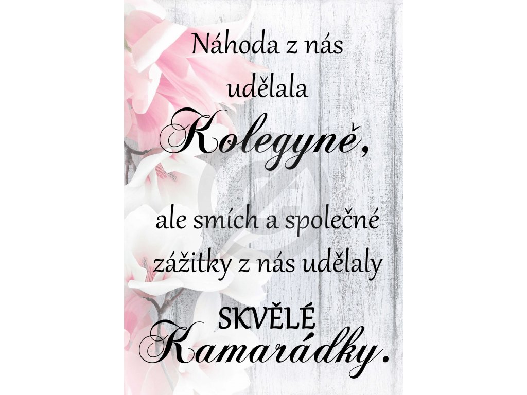 náhoda z nás udělala kopie3 optimized