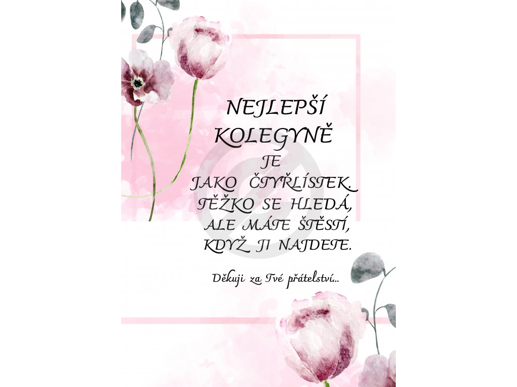 NEJLEPŠÍ KAMARÁDKA JE JAKO ČTYŘLÍSTEK. TĚŽKO SE HLEDÁM ALE MÁTE ŠTĚSTÍ KDYŽ JI NAJDETE.(25)