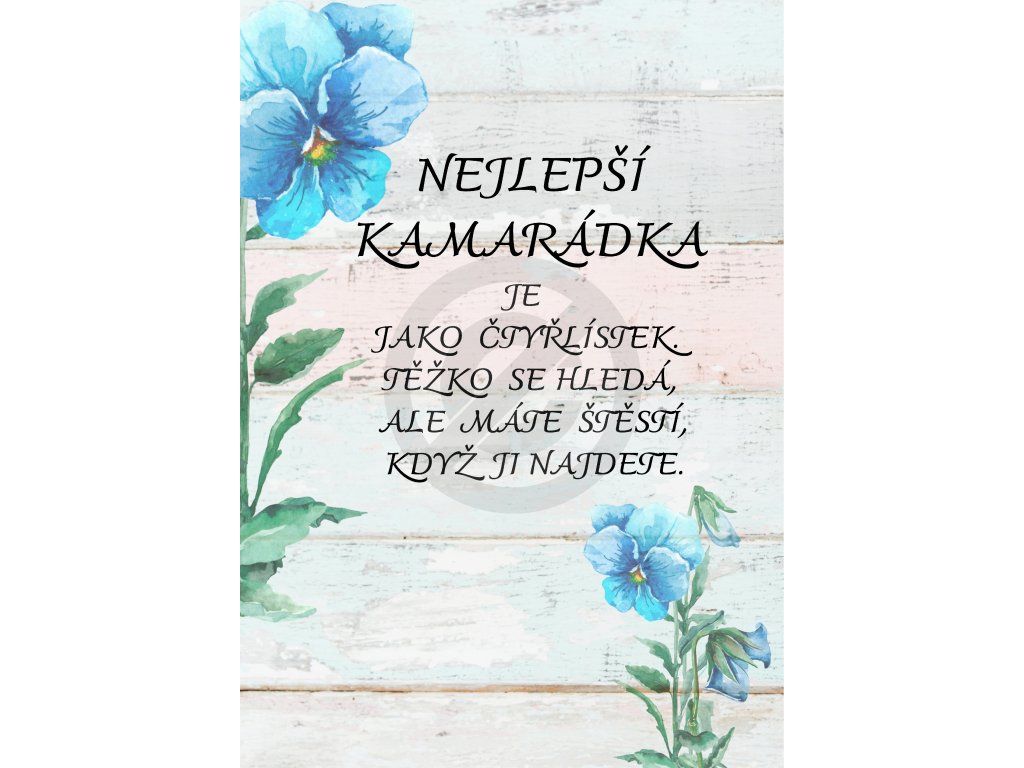 NEJLEPŠÍ KAMARÁDKA JE JAKO ČTYŘLÍSTEK. TĚŽKO SE HLEDÁM ALE MÁTE ŠTĚSTÍ KDYŽ JI NAJDETE.(13)