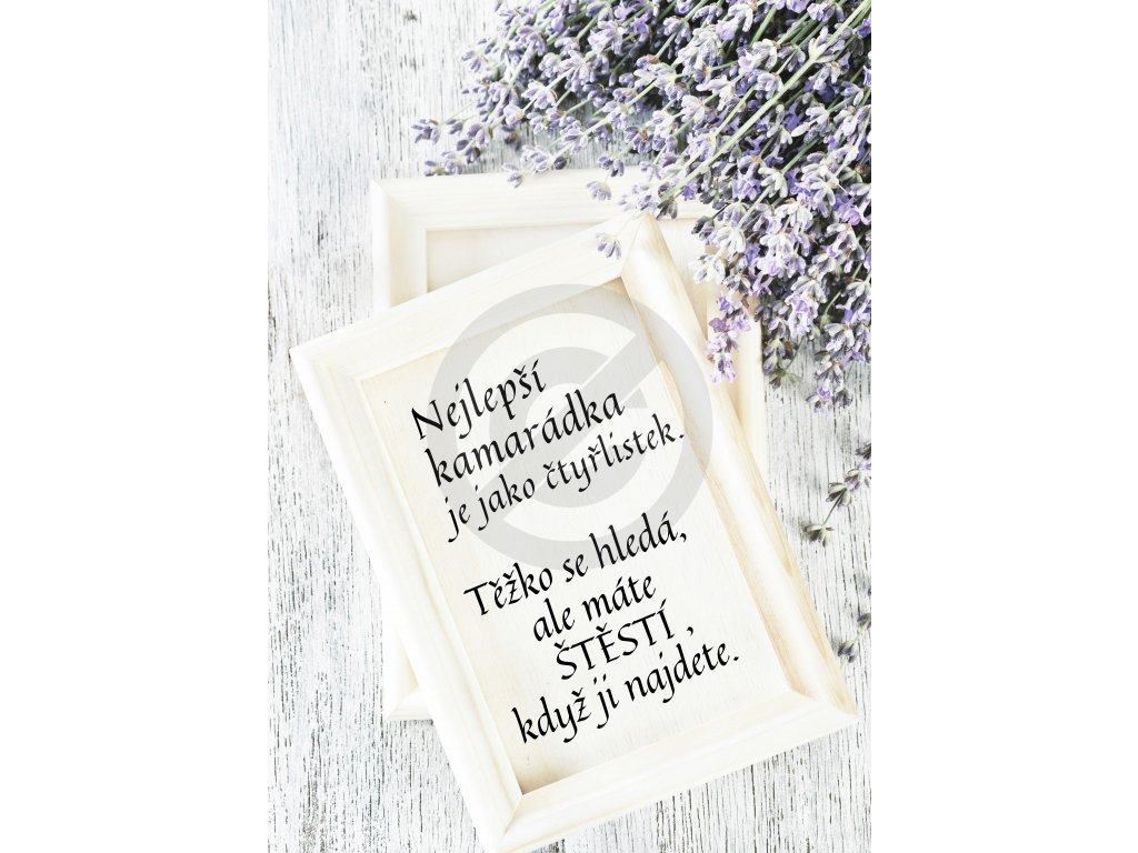 nejlepsi kamaradka je jako ctyrlistek 2