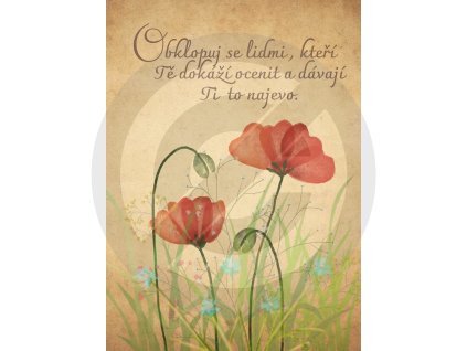 Citát obklopu se lidmi, kteří tě dokáží ocenit a dávají ti to najevo