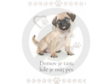 Domov je tam, kde je můj pes.(19)