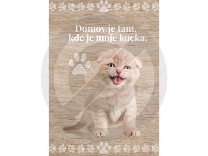 Domov (3)