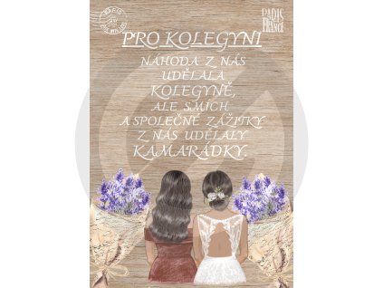pro kolegyni(6)