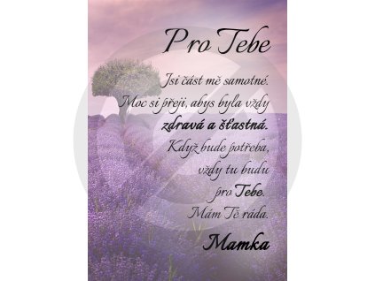 pro tebe kopie4 (3)