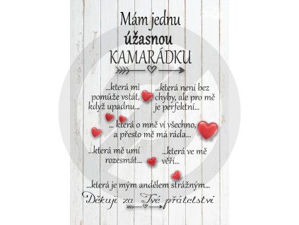 přítelkyně bílá (7)