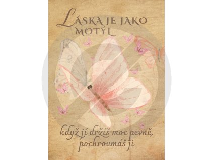 citat laska je jako motyl kdyz ji drzis moc pevne pochroumas ji