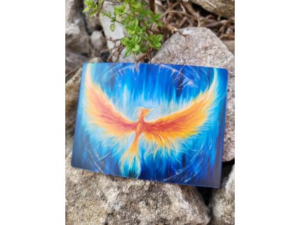 e1f93b21 5fdd 4417 9a2e e2b53eb64d4d