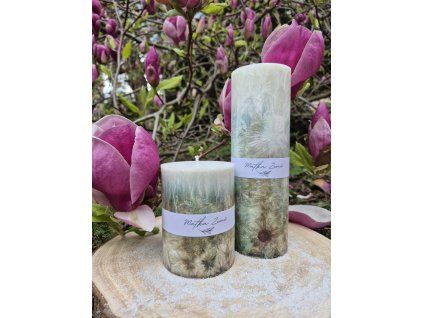 8f900d50 137b 460e a13c e9c2831d325a