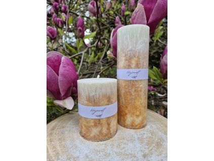 e19462e2 cdea 4913 8afa 0e5c448aea49