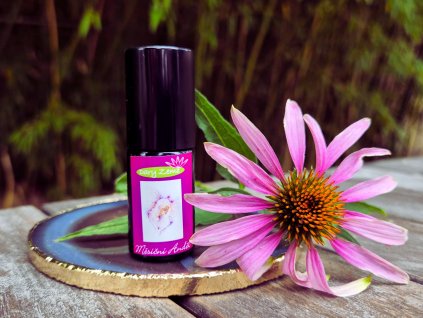 307b62ab 1ed8 4e29 b58f 1191218a73e5