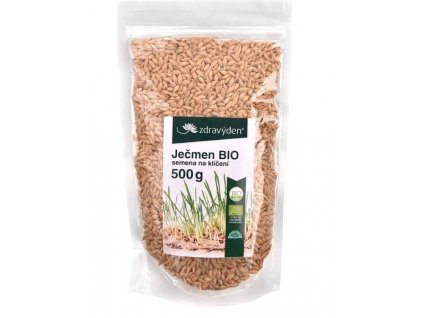 Pšenice BIO - semena na klíčení 500g