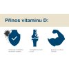 D vitamin contributes v2 cz