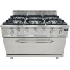 6 burner gas stove + electric oven