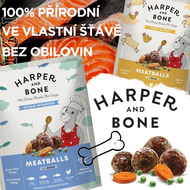 Harper and Bone