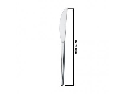 (12 kusů) Jídelní nůž Aleria - 21 cm