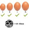 EK detail egg size jpg