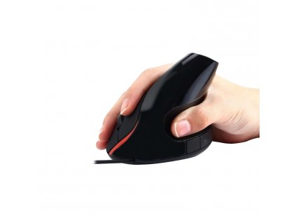 EW3156 R0 mouse hand