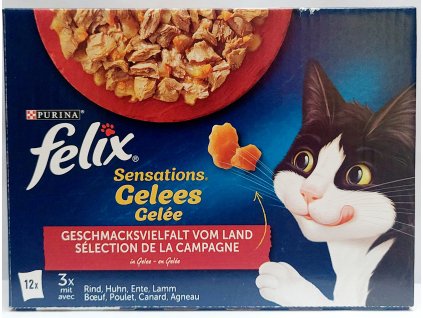 FELIX Sensations Gelees  - kapsičky pro kočky 3x hovězí, 3x kuřecí, 3x husí, 3x jehněčí - 12x 85g