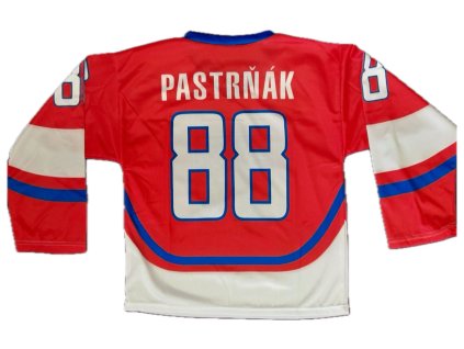 Hokejový dres Pastrnak ČR