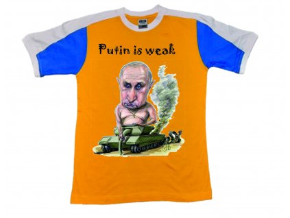 putin ukraji