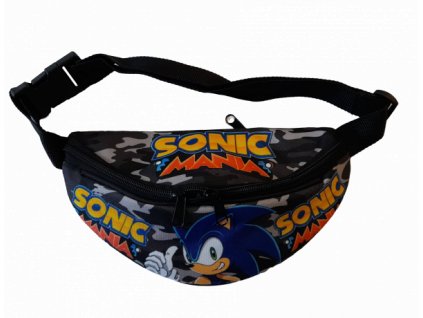 ledvinka ježek sonic