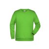 JN794 lime green 110381