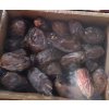 Medjool datle 500g - Pure Harvest nová úroda