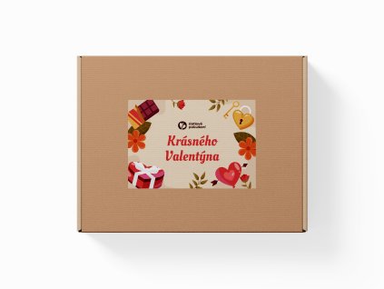 Mailer Box Mockup 2 kopie