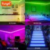 10572 2 led paska rgb smart tuya 5m