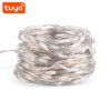 10578 led paska rgb smart tuya msl