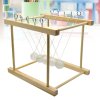 PAKTAT STEM Newtnuv pendulum