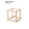 13246 2 paktat stem newtnuv pendulum