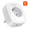 13345 1 gosund zasuvka wifi usb type c sp6 16a