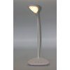 7869 2 stolni lampa marmot