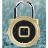 SMART PADLOCK chytrý visací zámek P5G zlatý