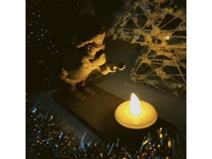 3D Tlačená vianočná dekorácia