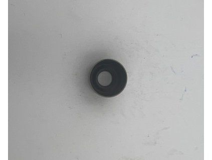 K00691 1
