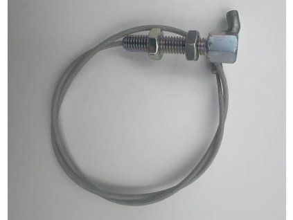 G03118