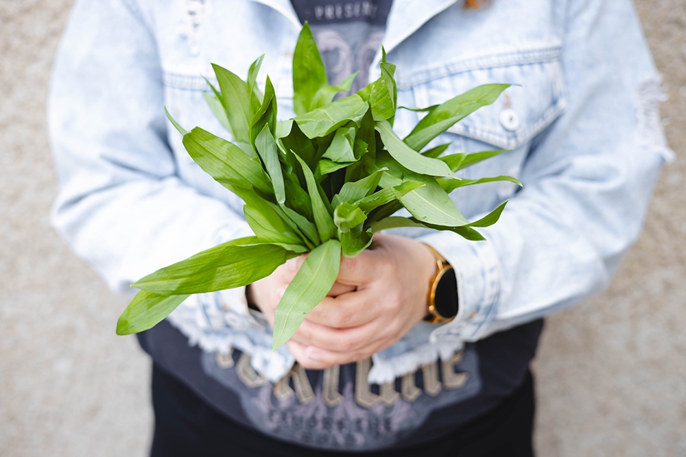 JARO V KUCHYNI: SVĚŽÍ CHUTĚ, BYLINKY A LEHKÁ JÍDLA