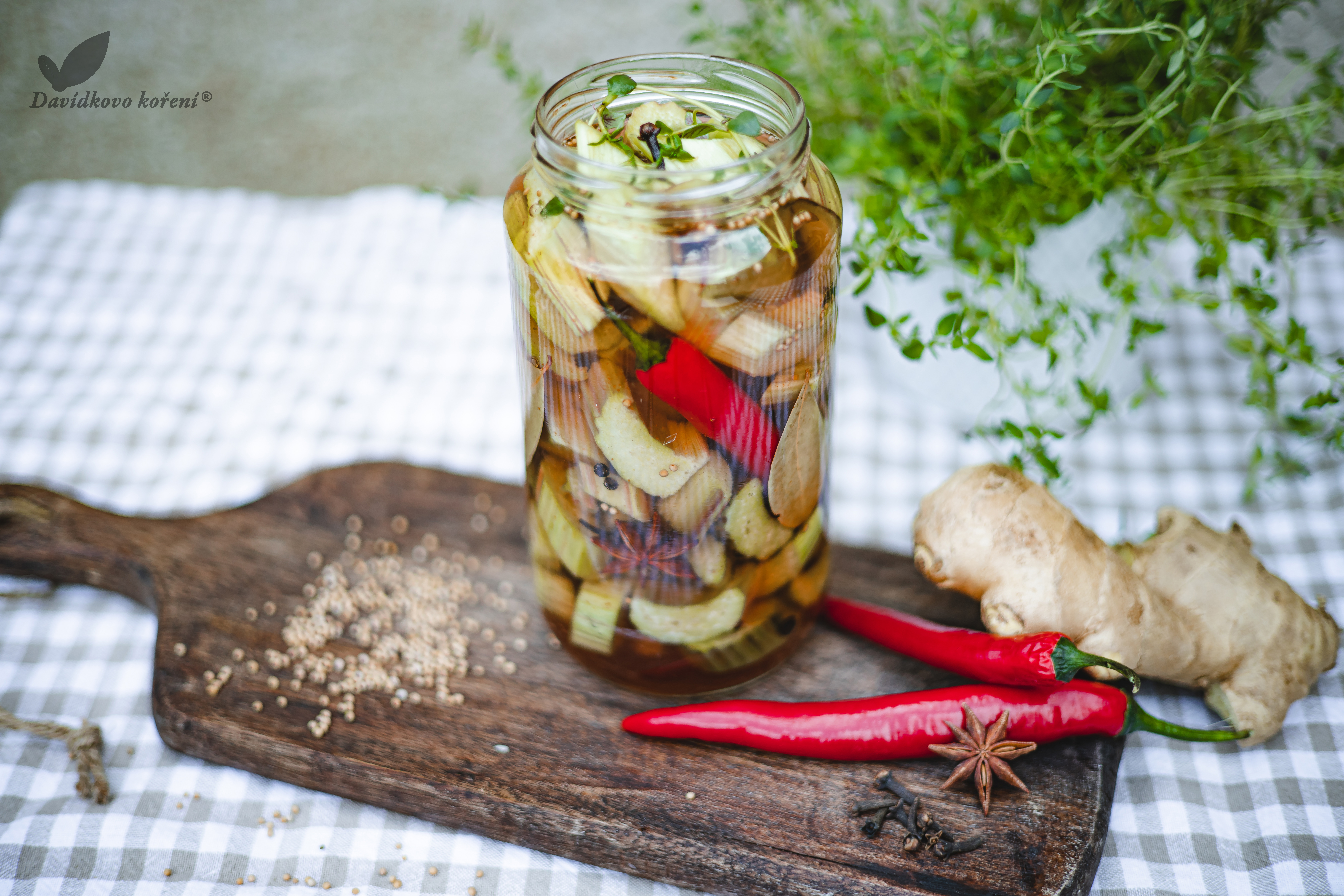 Nakládaná-rebarbora-VODOZNAK