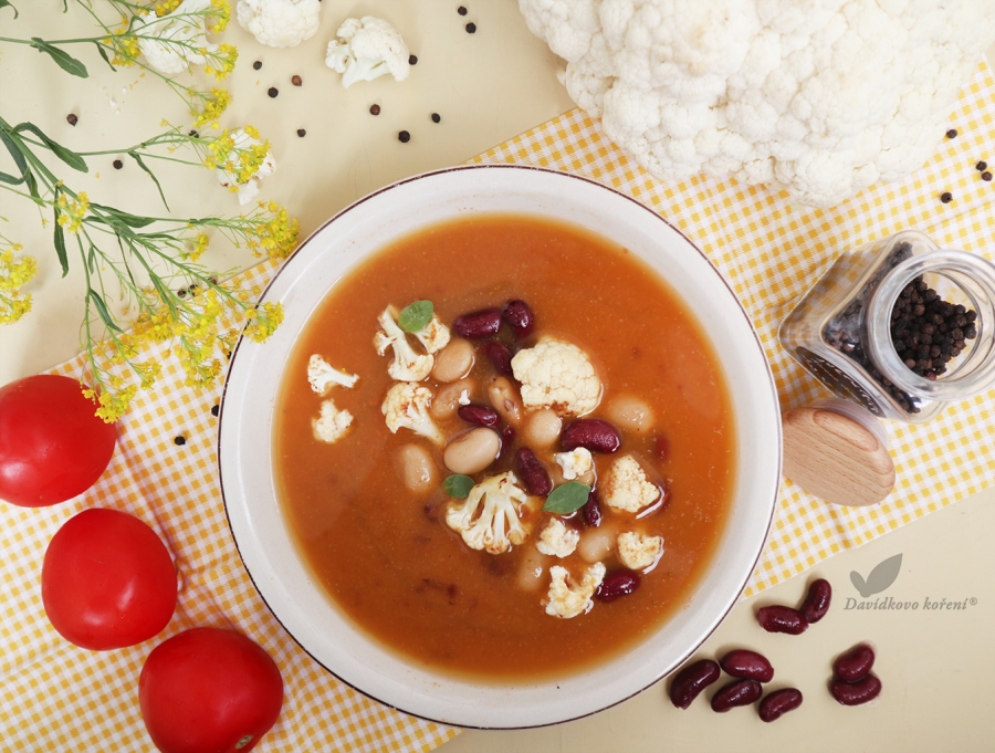 Fazuľová polievka so zeleninou