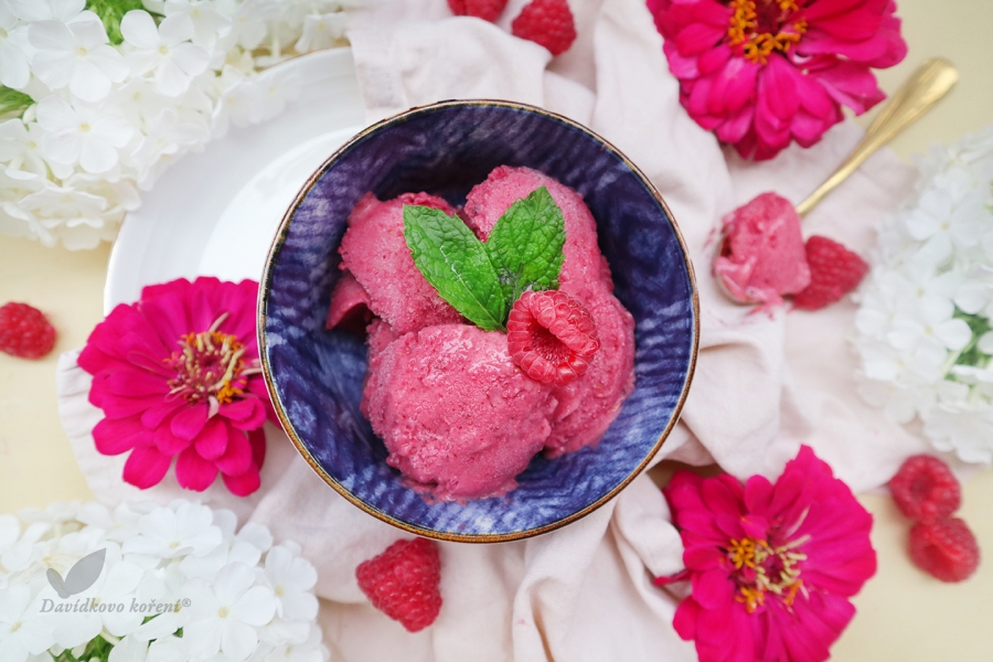 Vegánska malinová zmrzlina s kardamómom