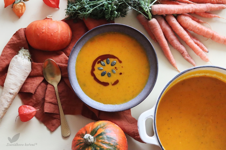 Vegan tekvicová polievka